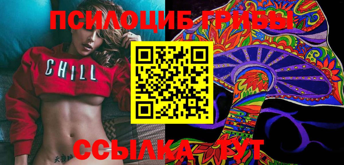 Михайловск  Псилоцибиновые грибы прущие грибы  Вход с VPN 